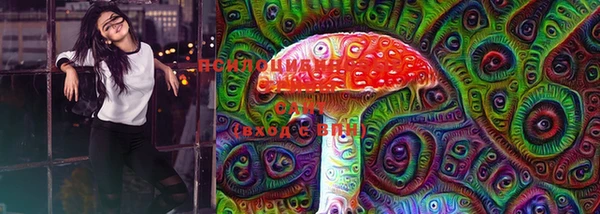 ECSTASY Бородино