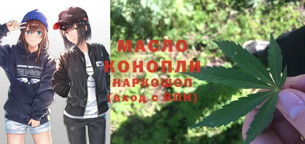 молекула духа Бронницы