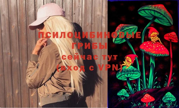 соль ск Богданович